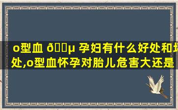 o型血 🌵 孕妇有什么好处和坏处,o型血怀孕对胎儿危害大还是对孕 🌹 妇危害大